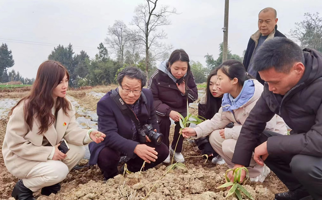 重庆医科大学中医药学院学生第一党支部青梦团队