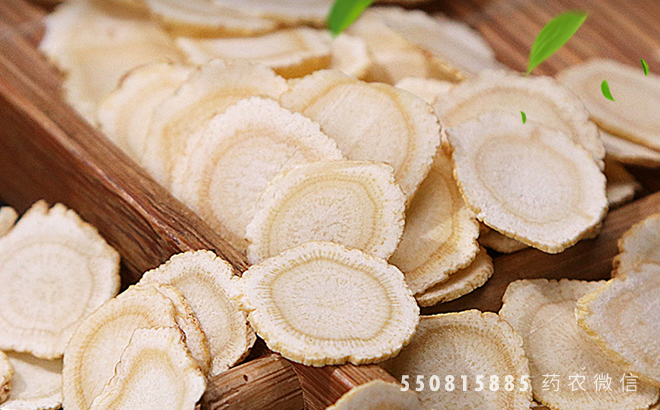 西洋参(中药材)