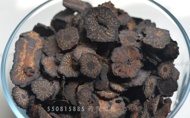 中药材肉苁蓉