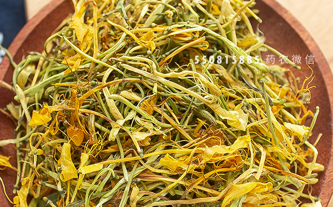 中药材山银花(菰腺忍冬、华南忍冬)