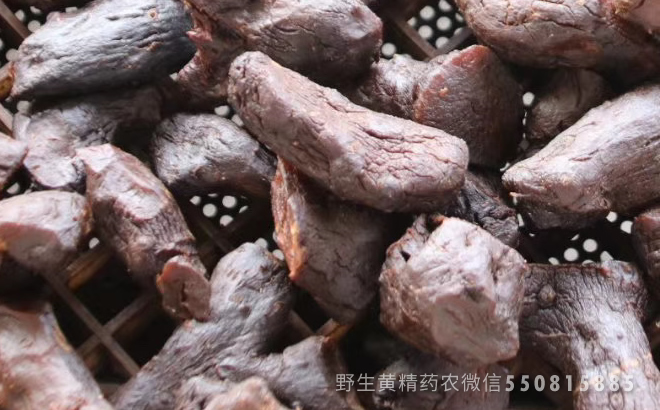 黄精
