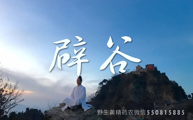 辟谷