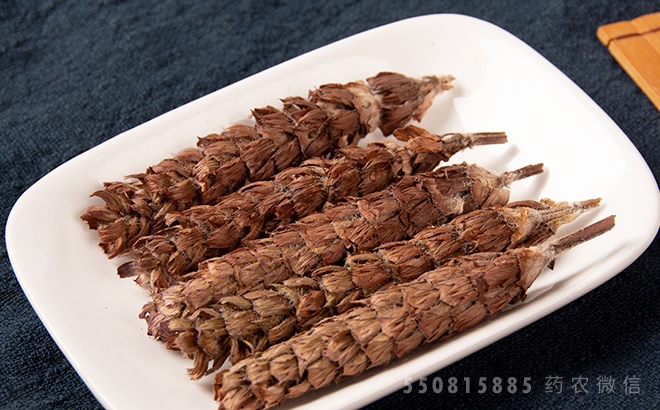 夏枯草(中药材)