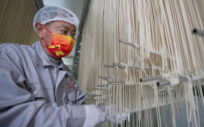黄精面条生产线