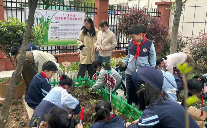 黄精种植展示区
