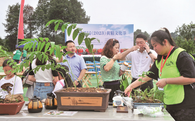 重庆首届黄精文化节