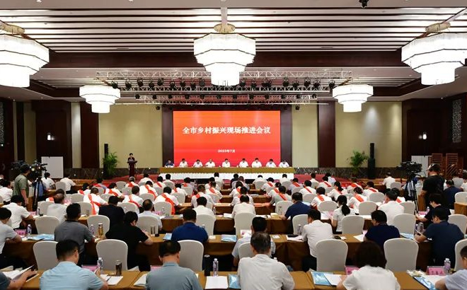 泰安市乡村振兴现场推进会议