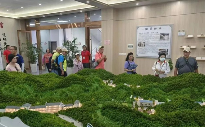 台湾同胞参访团