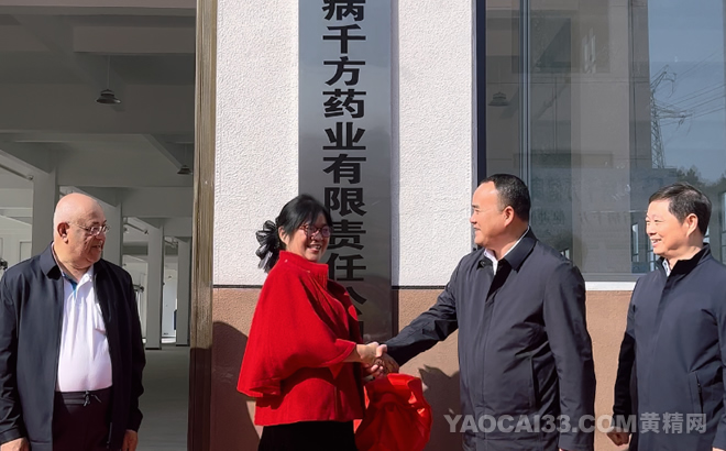 湖南百病千方药业有限责任公司