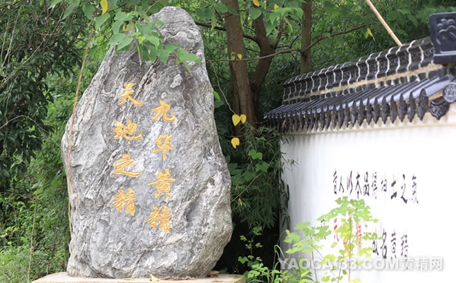 天地之精